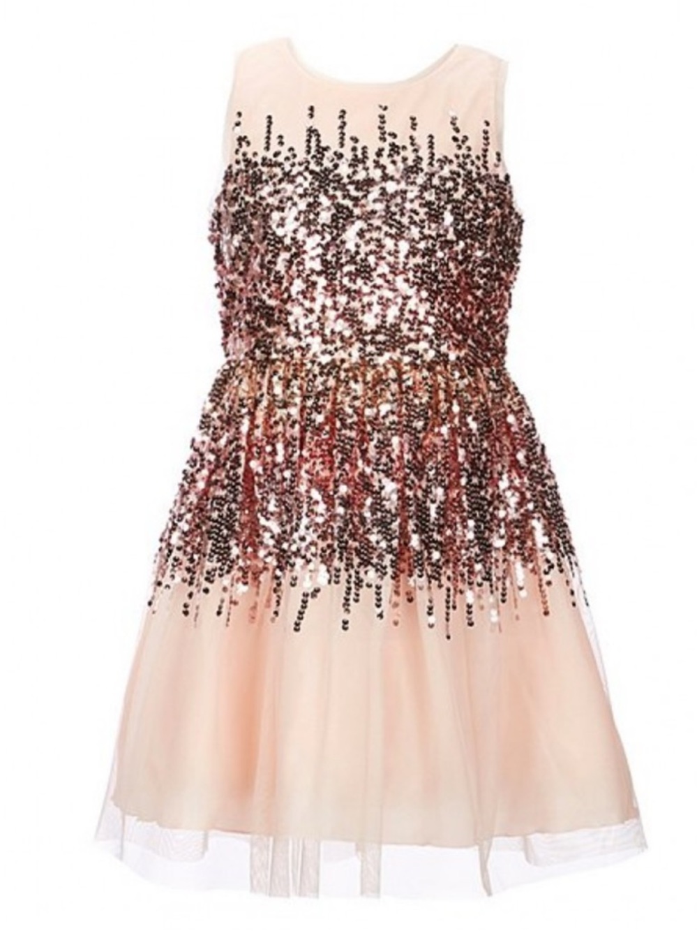 Poppies and roses sequin dress